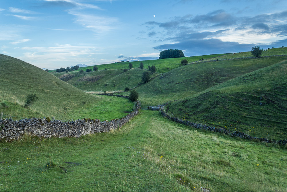 Long Dale